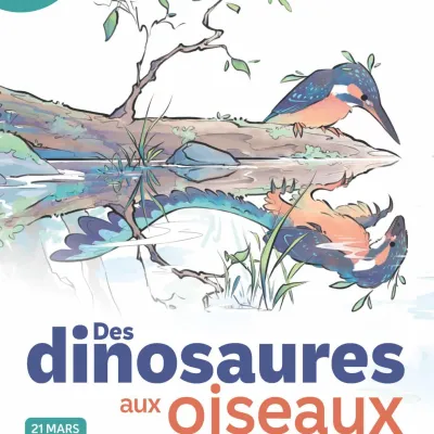 D’où viennent les oiseaux ?