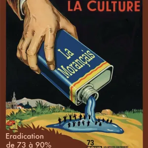 Cherchez la culture