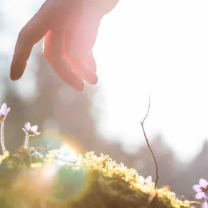 Biomimétisme : quand l’industrie française s’inspire de la nature