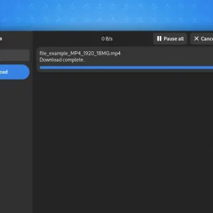Use Varia Download Manager? Install the Official Browser Extension
