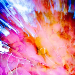 Alice Murillo - photographie d'anticipation positive