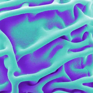 Material Form Function - Matters of Activity