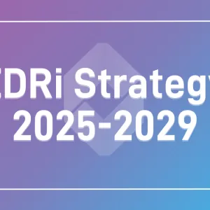 Towards a renewed strategy for the EDRi network