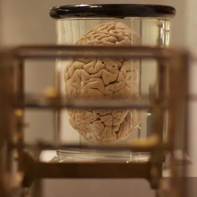 Ne rien avoir à penser