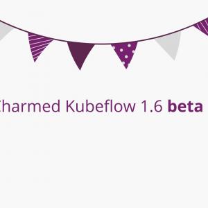 Charmed Kubeflow 1.6 Beta is out: try it today!