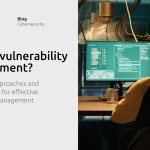 What is vulnerability management?