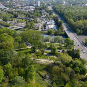 Le plan arbres de la @VilledeGrenoble , c’est aussi prendre soin, renouveler le patrimoine arboré existant, et préparer la canopée de 2050, qui devra être efficace, adaptée aux chaleurs. Cela passe donc par remplacer les vieux arbres condamnés à court ou moyen terme. #thread
