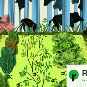 « Sangliers, limaces... Au jardin, pas toujours facile de cohabiter avec le vivant »