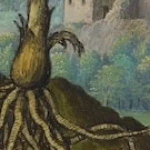 Binarités dans le récit du pouvoir et du contrôle