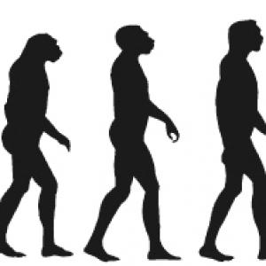 Ma « détransition » (1/3).