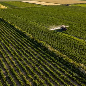 Loi Duplomb : toxique pour l’agriculture, l’environnement et la santé publique