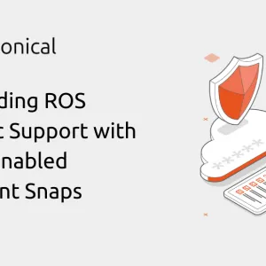 Extending ROS Noetic Support with ESM-Enabled Content Snaps