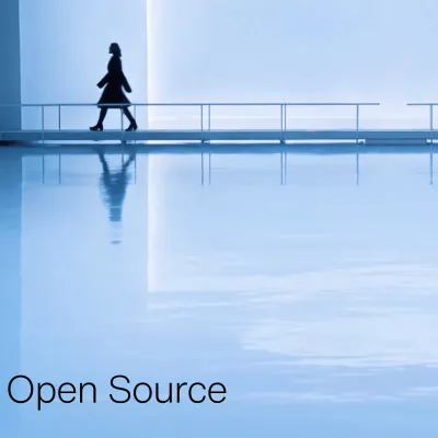 Zara sur GitHub : pourquoi l’empire du prêt-à-porter mise sur l’open source