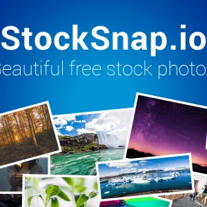 Free Stock Photos and Images - StockSnap.io