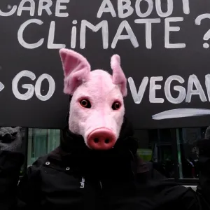 Veganwashing : quand le véganisme est instrumentalisé à des fins politiques ou économiques