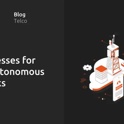 AI harnesses for telco autonomous networks
