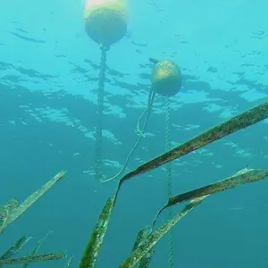 Rando'mer à Collioure