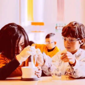 Les sciences à l’école primaire : réalités du terrain et perspectives