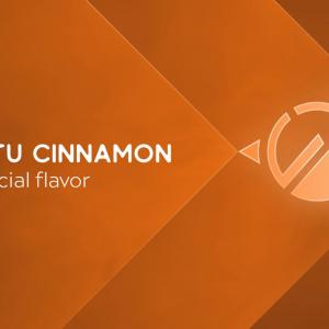 Ubuntu Cinnamon is Now an Official Ubuntu Flavour