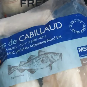 « Pêche durable » : comment le label MSC et la grande distribution ont détourné ce concept