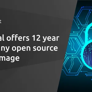 Canonical offers 12 year LTS for any open source Docker image