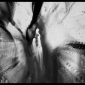 Nils Frahm - Says (Official Music Video) - YouTube