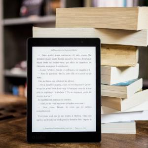 Quelles ressources numériques proposées dans les bibliothèques publiques en France ?