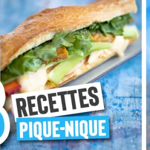 Pique-nique vegan : 3 recettes - La petite Okara