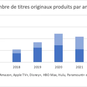 Que sait-on des impacts environnementaux de la vidéo en ligne ? L’exemple de Netflix