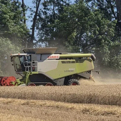 Face aux canicules, des agriculteurs inquiets pour les récoltes et le fourrage