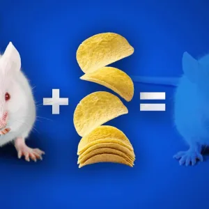 Comment rendre la peau transparente ? (pour de vrai)