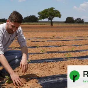 La Méditerranée à l'épreuve du réchauffement le plus rapide au monde