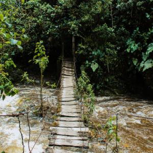 S’abonner à des sites ou des blogs grâce au flux RSS