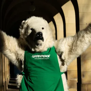 Comment l’« écologie du spectacle » sabote la cause climatique