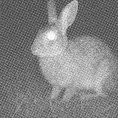 Comment les animaux sabotent (sans le savoir) la surveillance mondiale