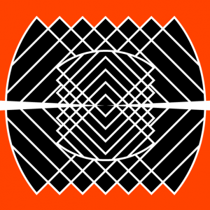 Stratégies d’infiltration de la surveillance biométrique dans nos villes et nos vies