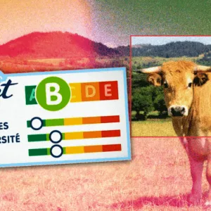 Planet-Score : l’étiquette qui verdit la viande rouge ?