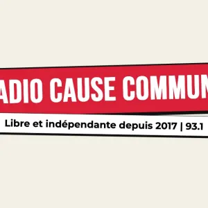 #265 – C&F éditions – chronique d'Antanak – « Pris dans la toile »