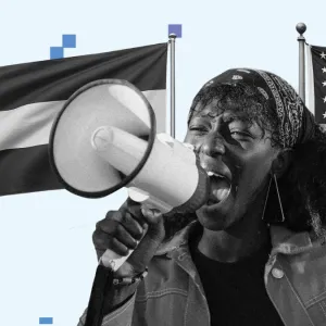 US pressure on the Digital Services Act in the Netherlands