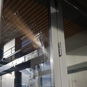 Isère. [VIDÉO] Échirolles : l'Hôtel de ville visé par des tirs de mortiers d'artifice