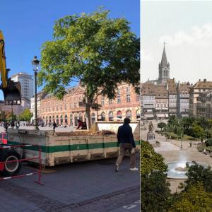 Sur la Place Kléber, 5 nouveaux arbres sont sur le point d'être plantés