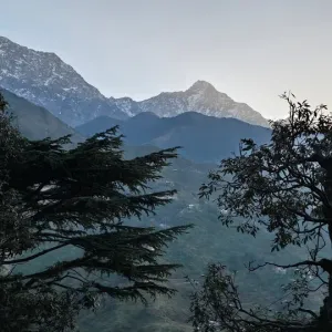 Reflecting on "AI" in the Himalayan foothills
