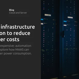 Effective infrastructure automation to reduce data center costs