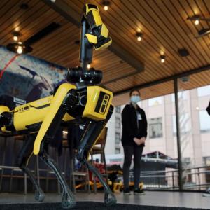 Des chiens robots pour prendre la température des SDF : jusqu'où ira le sans contact ?