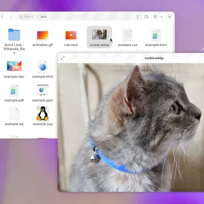 GNOME Sushi gets a GTK4 revamp, new features
