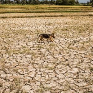 Phénomène El Nino : le monde doit se préparer à des températures records, alerte l’ONU