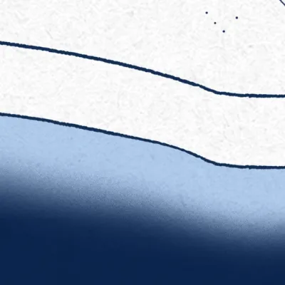 Le « sachant »