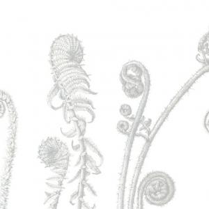 Lara Call Gastinger - Botanical art and nature journalling