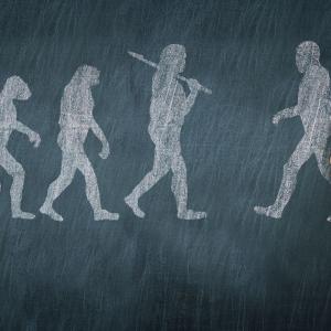 Qui est “Homo Numericus” ? Entretien avec Daniel Cohen