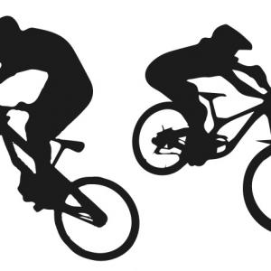 [CP] Trail Center de Wangenbourg-Engenthal, un projet écocide pour un tourisme de masse